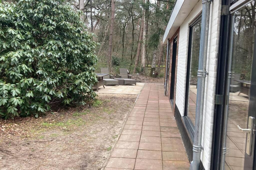 Kindvriendelijke Bungalow In Het Bos Bij Zwemmeer. Vilsteren Exterior foto