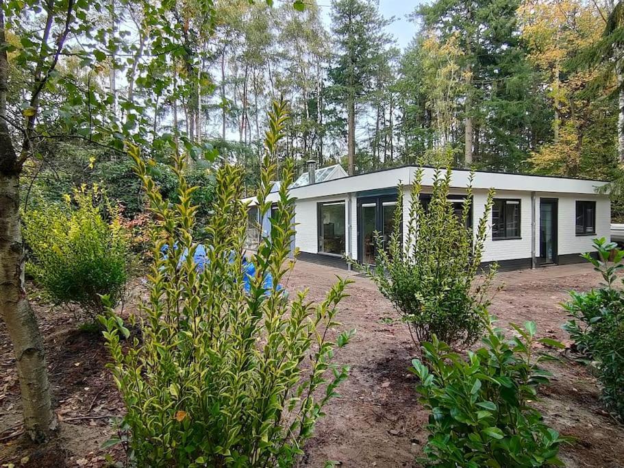 Kindvriendelijke Bungalow In Het Bos Bij Zwemmeer. Vilsteren Exterior foto