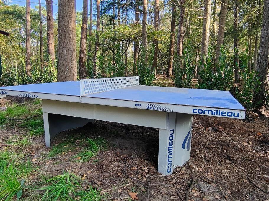 Kindvriendelijke Bungalow In Het Bos Bij Zwemmeer. Vilsteren Exterior foto