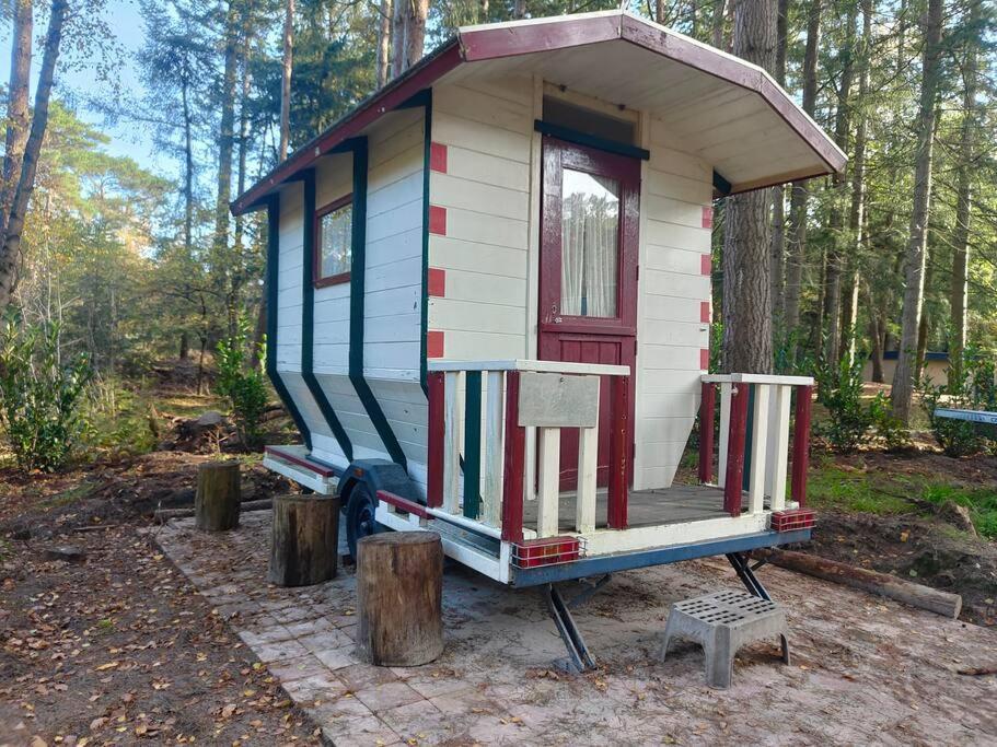 Kindvriendelijke Bungalow In Het Bos Bij Zwemmeer. Vilsteren Exterior foto